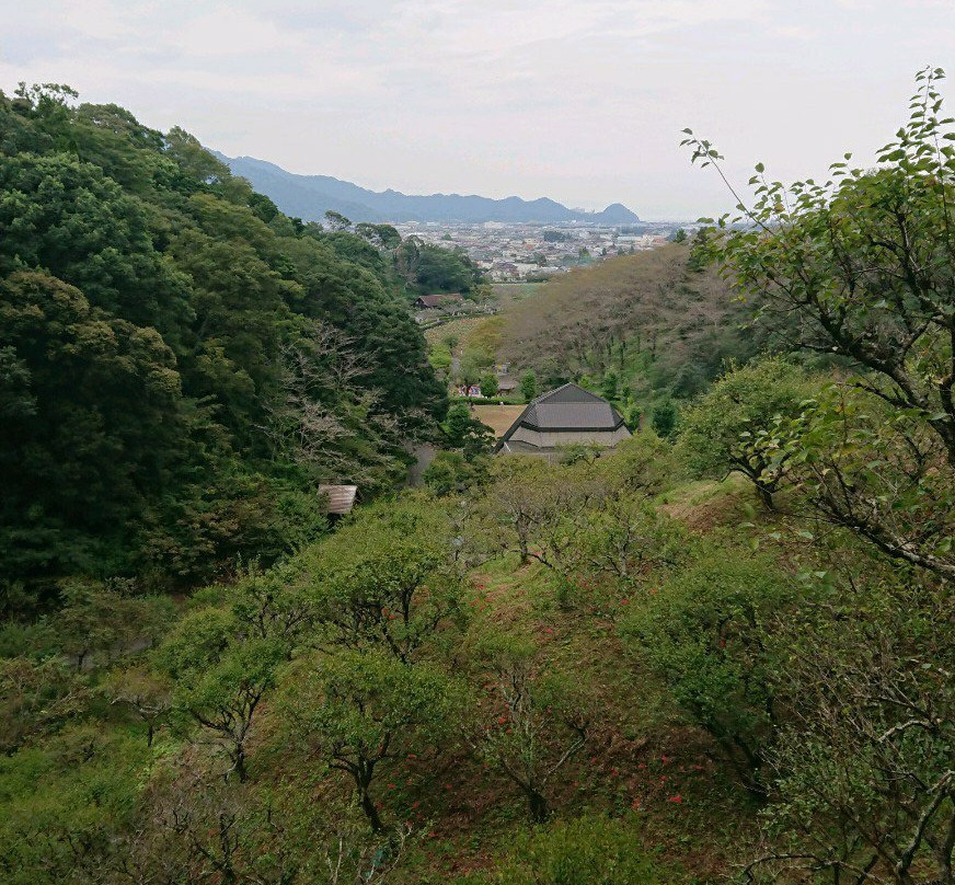 Rengejiike Park景点图片