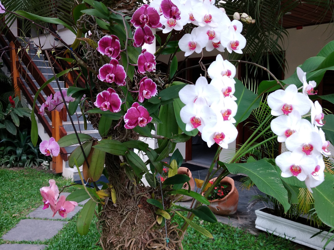 Chales Four Seasons主图