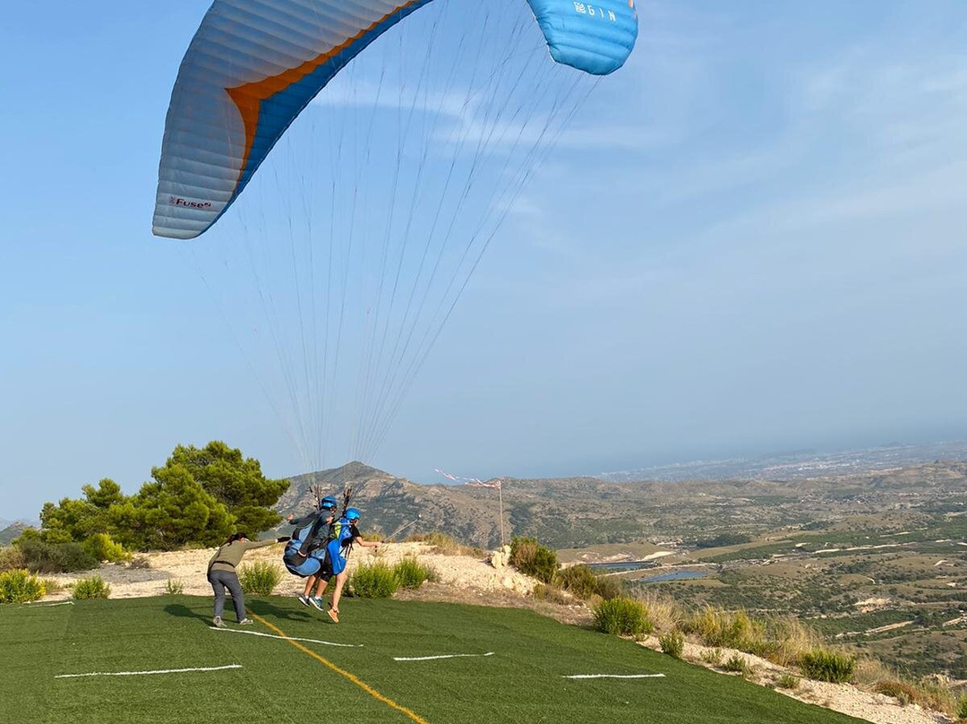 Summer Paragliding景点图片