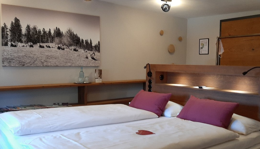 Hotel & Restaurant Adler - BIO-zertifiziert主图