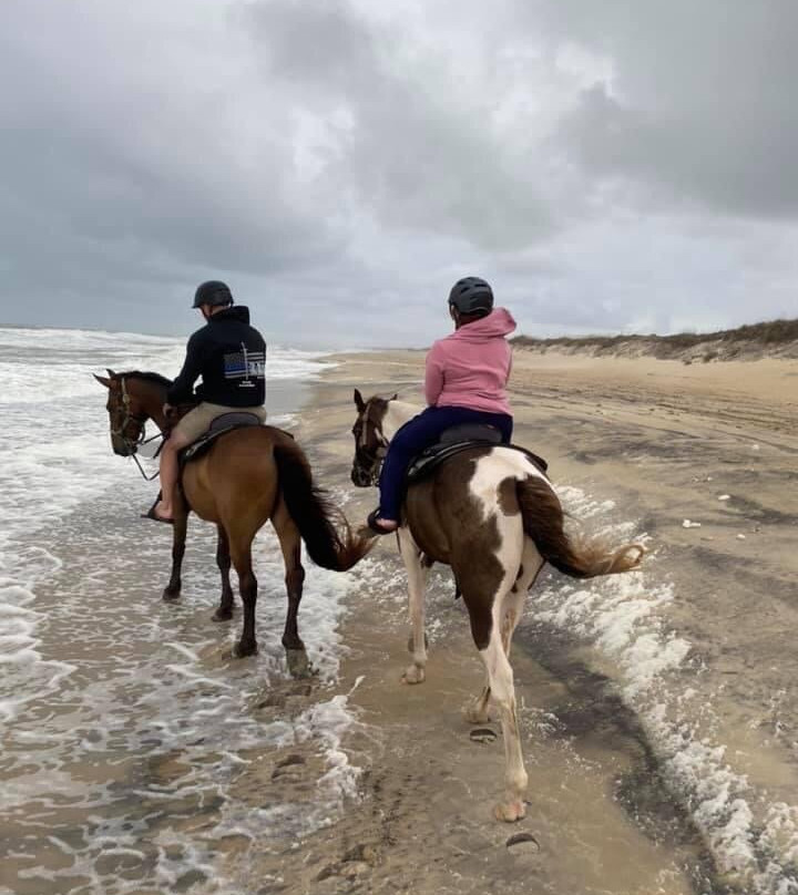 Outer Banks Horseback景点图片