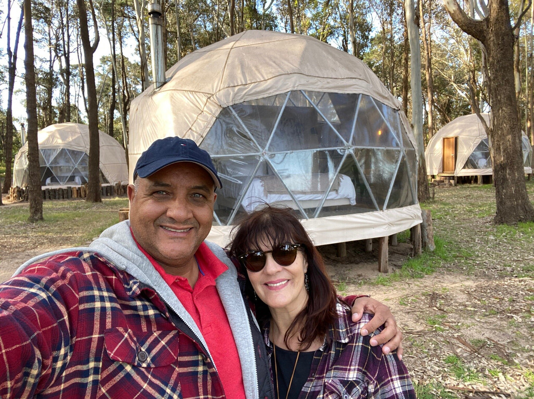 Big Bang Nature Stays主图