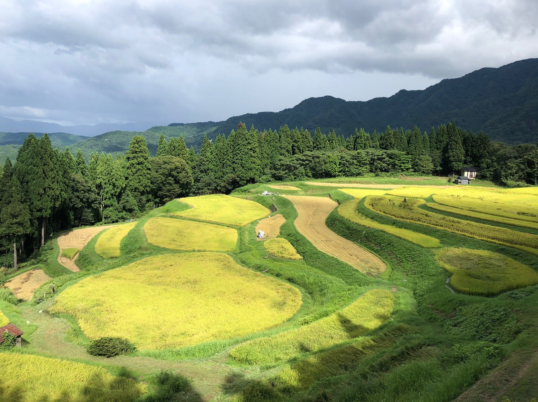 Rice terrace, Mt.Ue-香美町必去景点