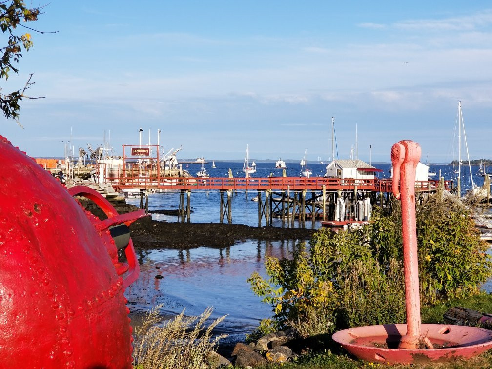 Buoy Park景点图片