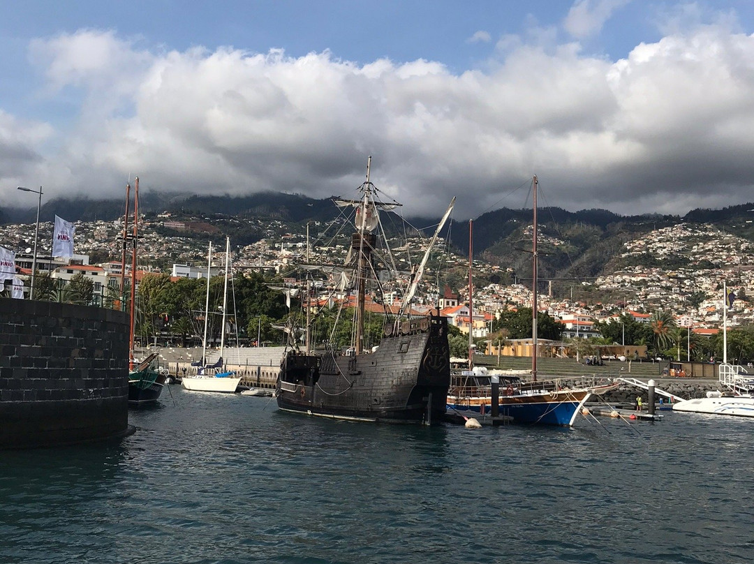 Vip Dolphins-沙尔必去景点