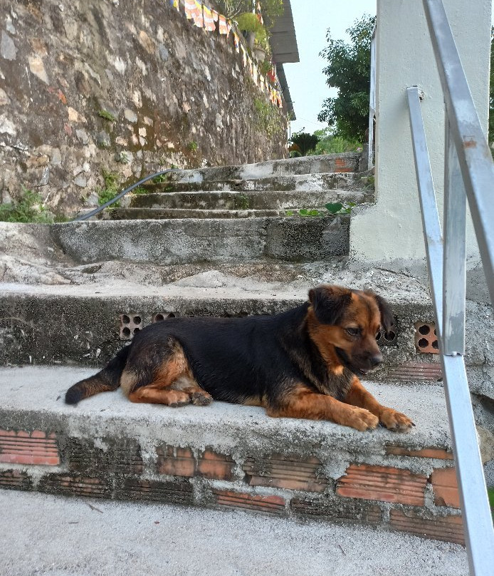 Suoi Do Pagoda-芽庄必去景点