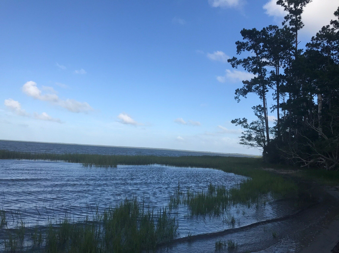 Harris Neck National Wildlife Refuge-萨凡纳必去景点