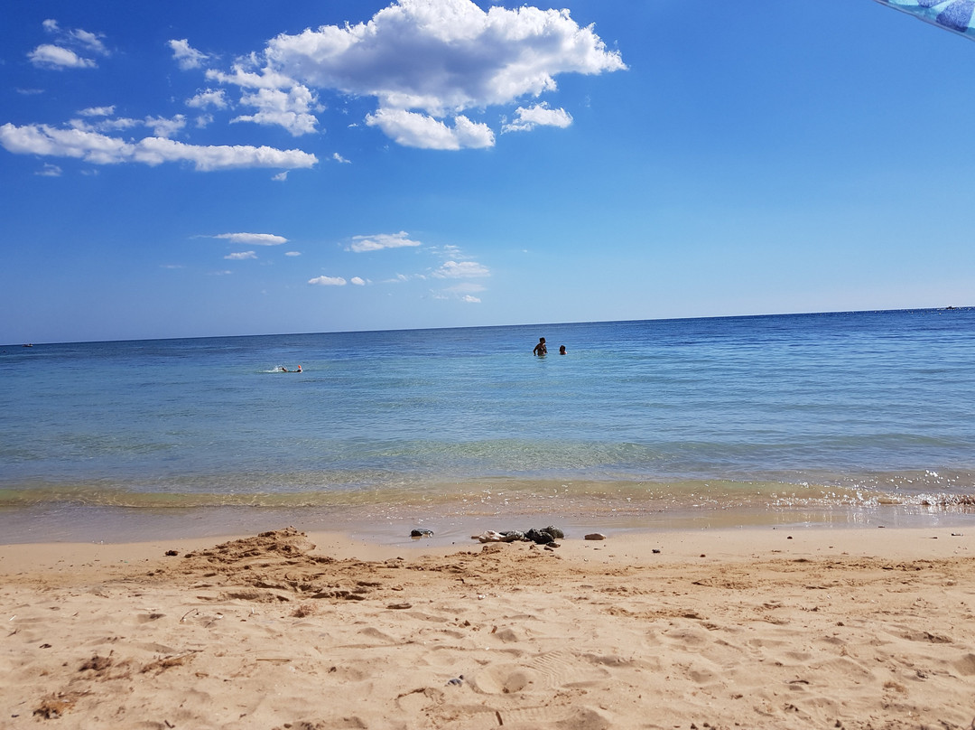 B&B Antica Terrazza主图