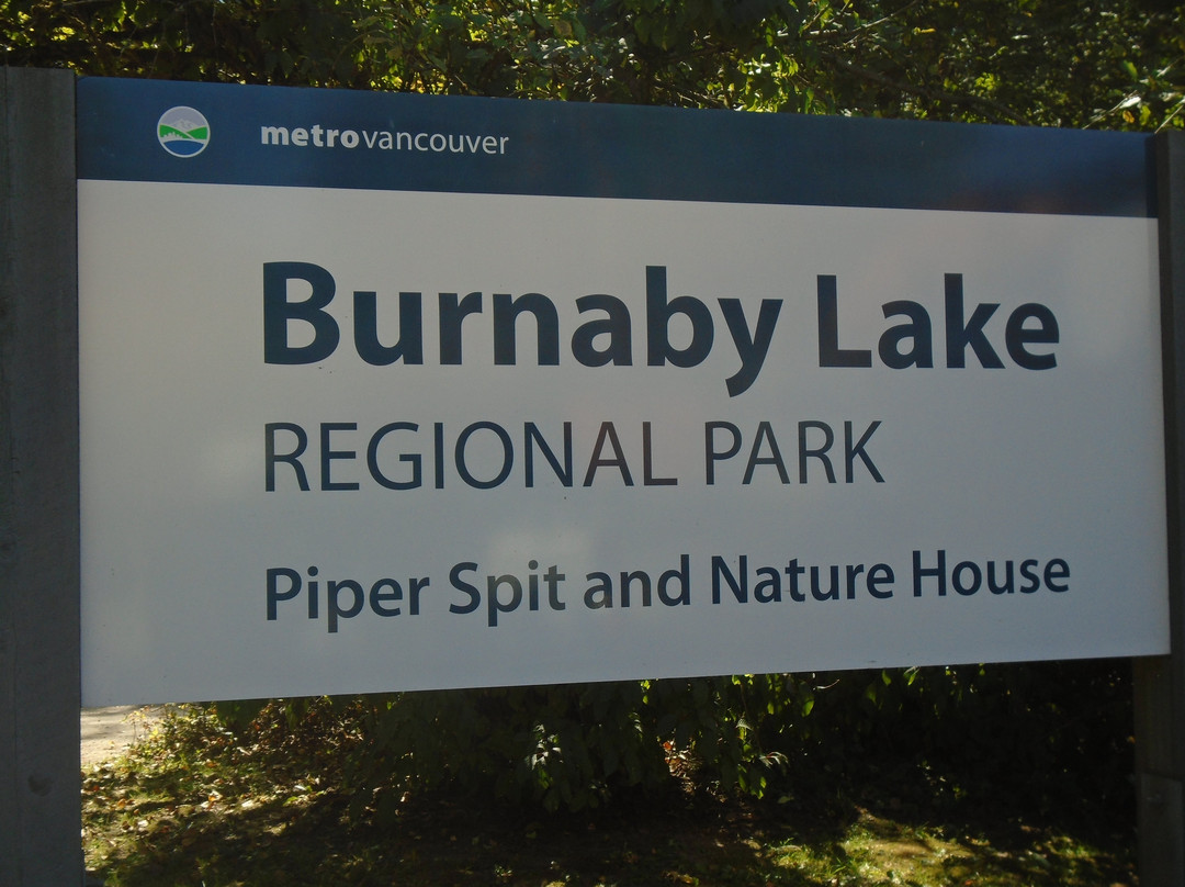 Burnaby Lake Regional Nature Park-本那比必去景点