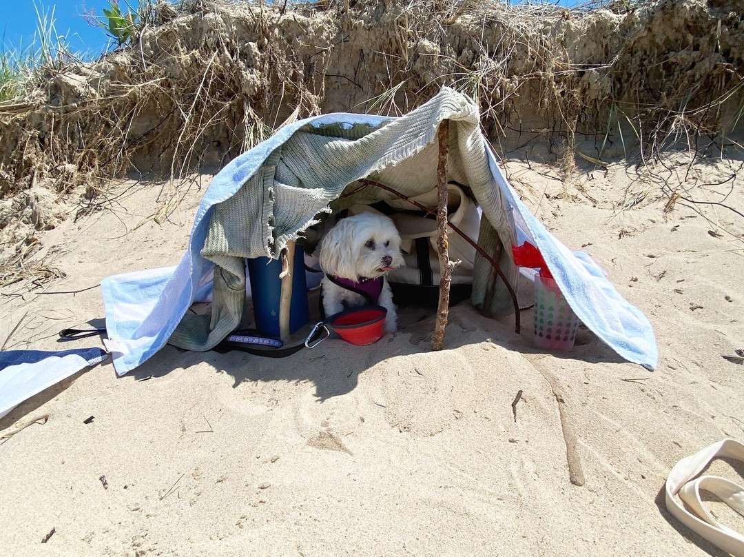 Falling Waters Lodge主图