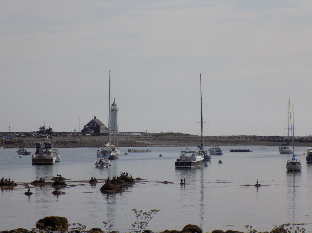 Scituate Harbor景点图片