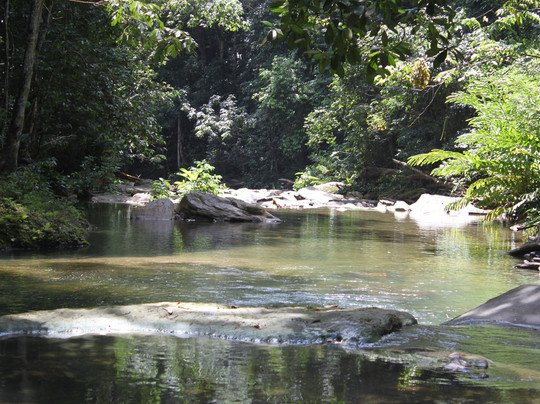 Earth Nation Events-特立尼达必去景点