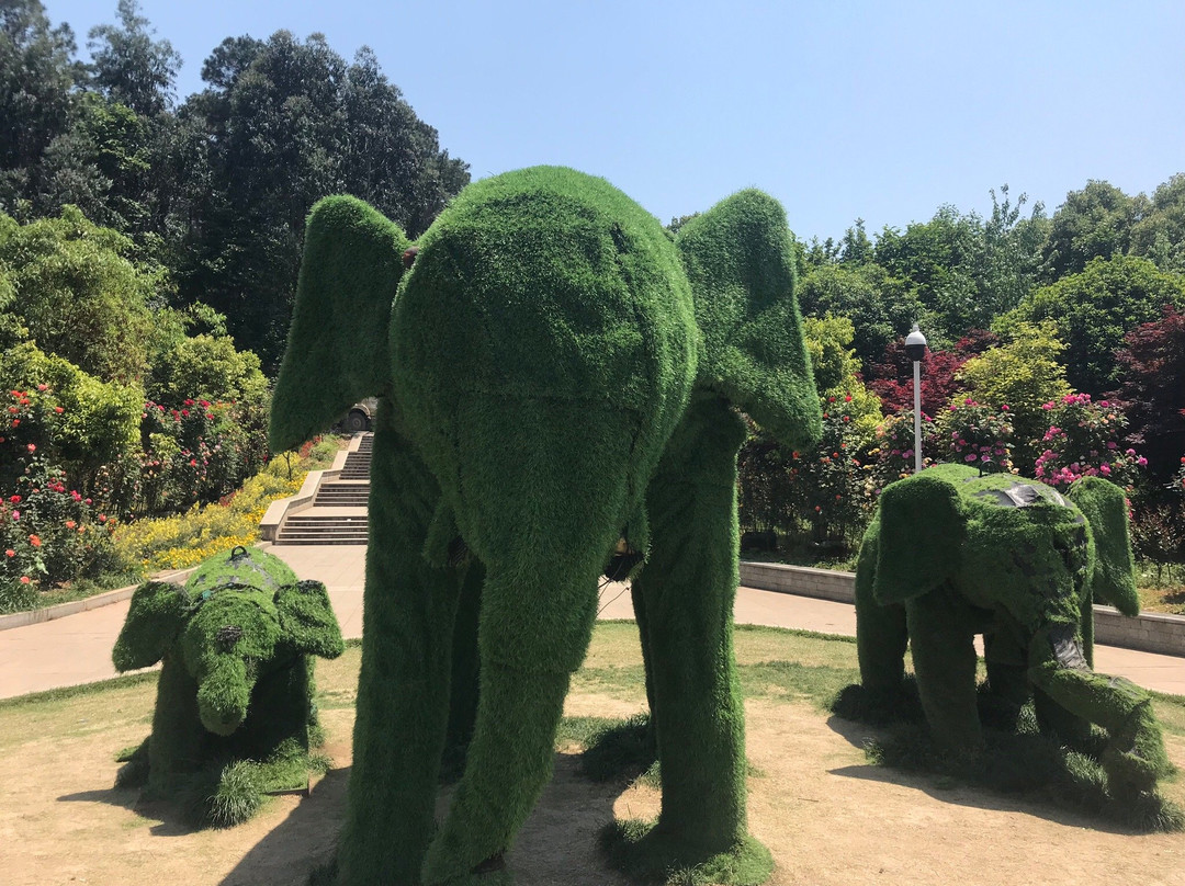 湖南森林植物园-长沙市必去景点