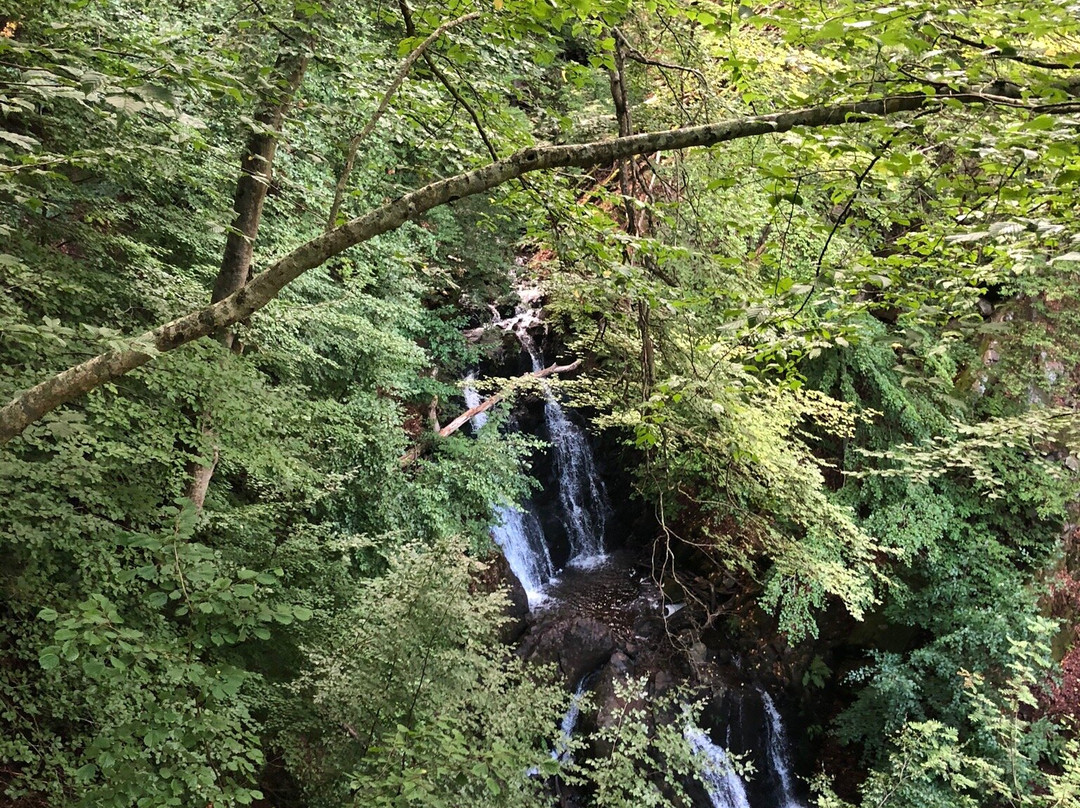 Forsakar Nature Reserve-Degeberga必去景点