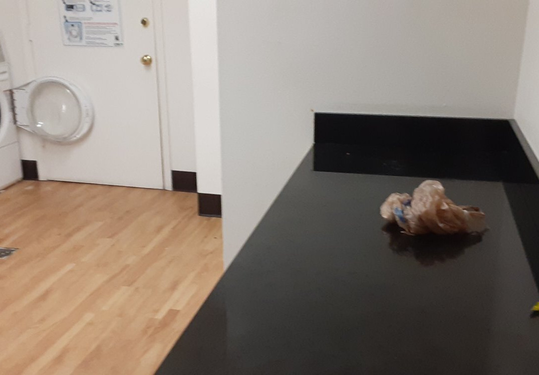 Welcome Suites Springdale主图