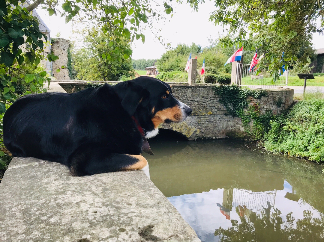 Chateau de Vouilly主图