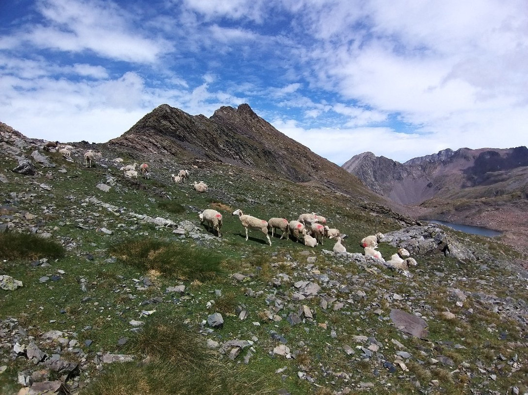 Parc national des Pyrénées景点图片