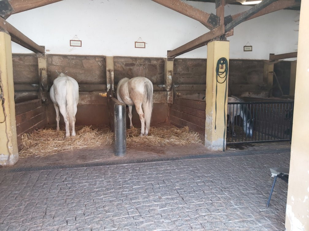 Picadeiro Del Rey-Almeida必去景点