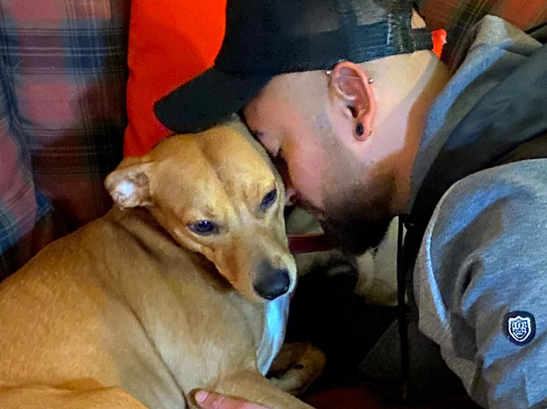 Kenilworth Hotel主图