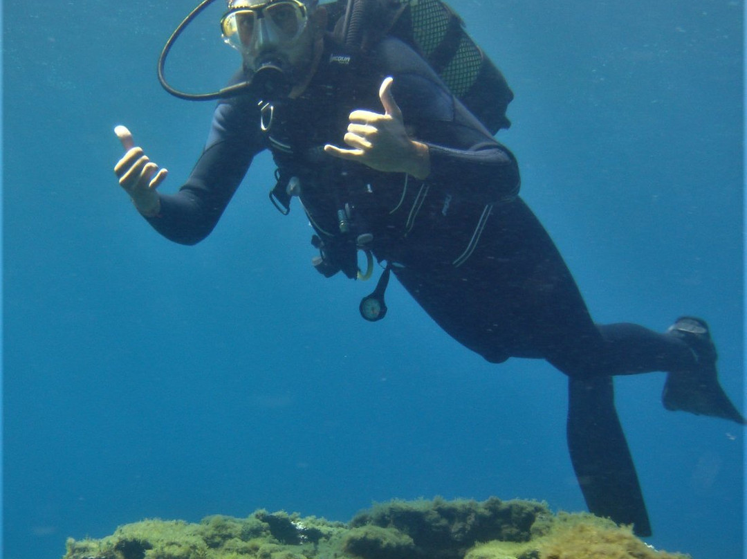 Atlantic Eco Diving-奥德杰海岸必去景点