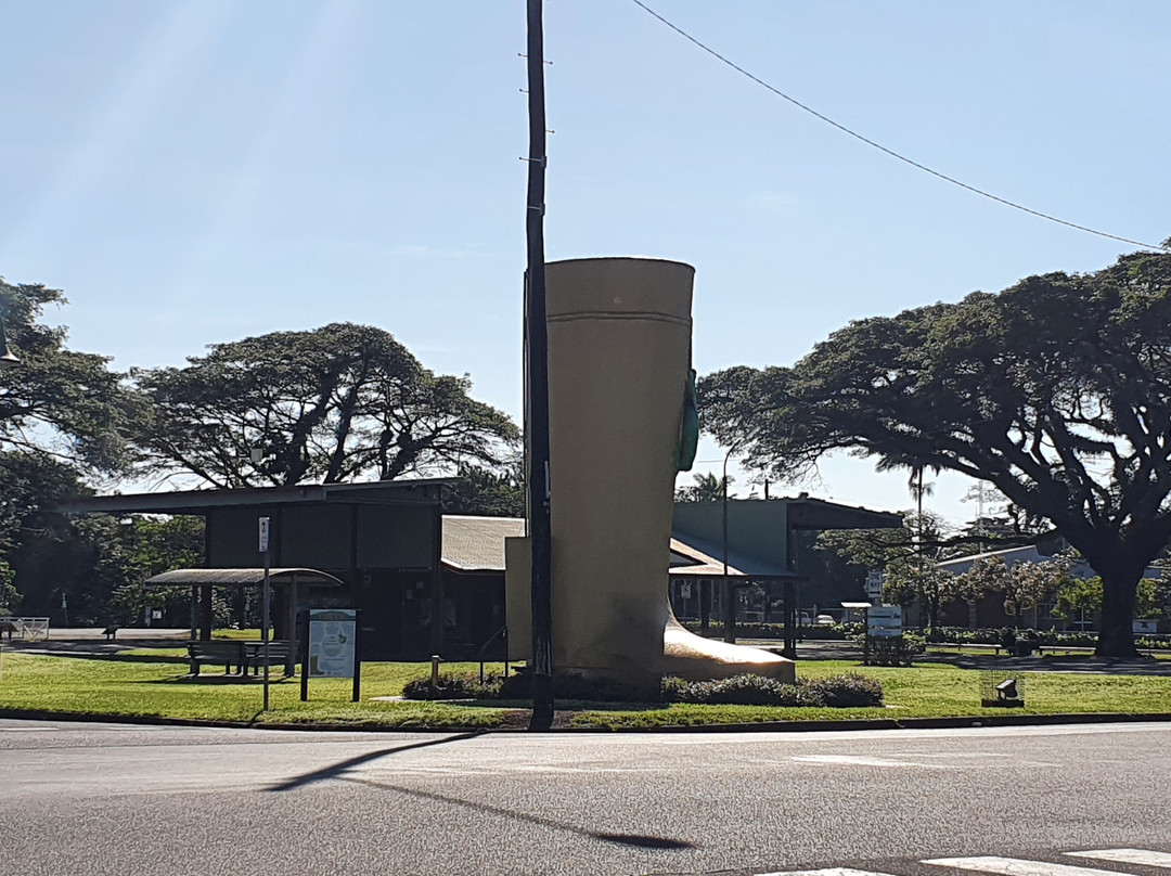 Golden Gumboot-Tully必去景点