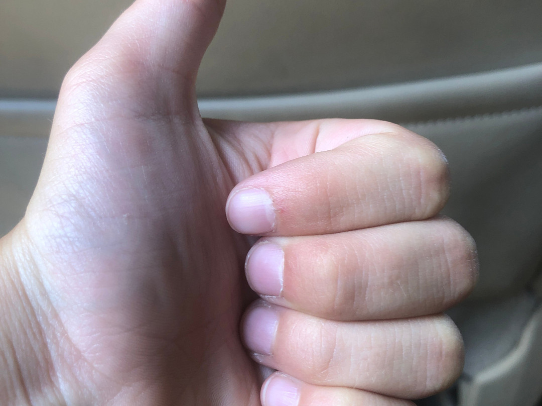 Hungry Howie's Pizza