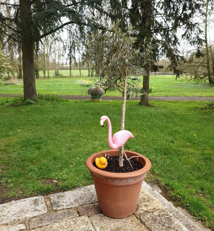 Château de la Preuille主图