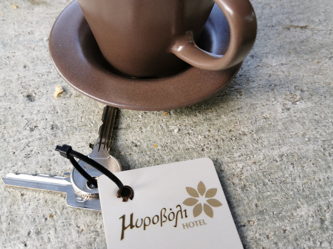 Mirovoli Hotel主图