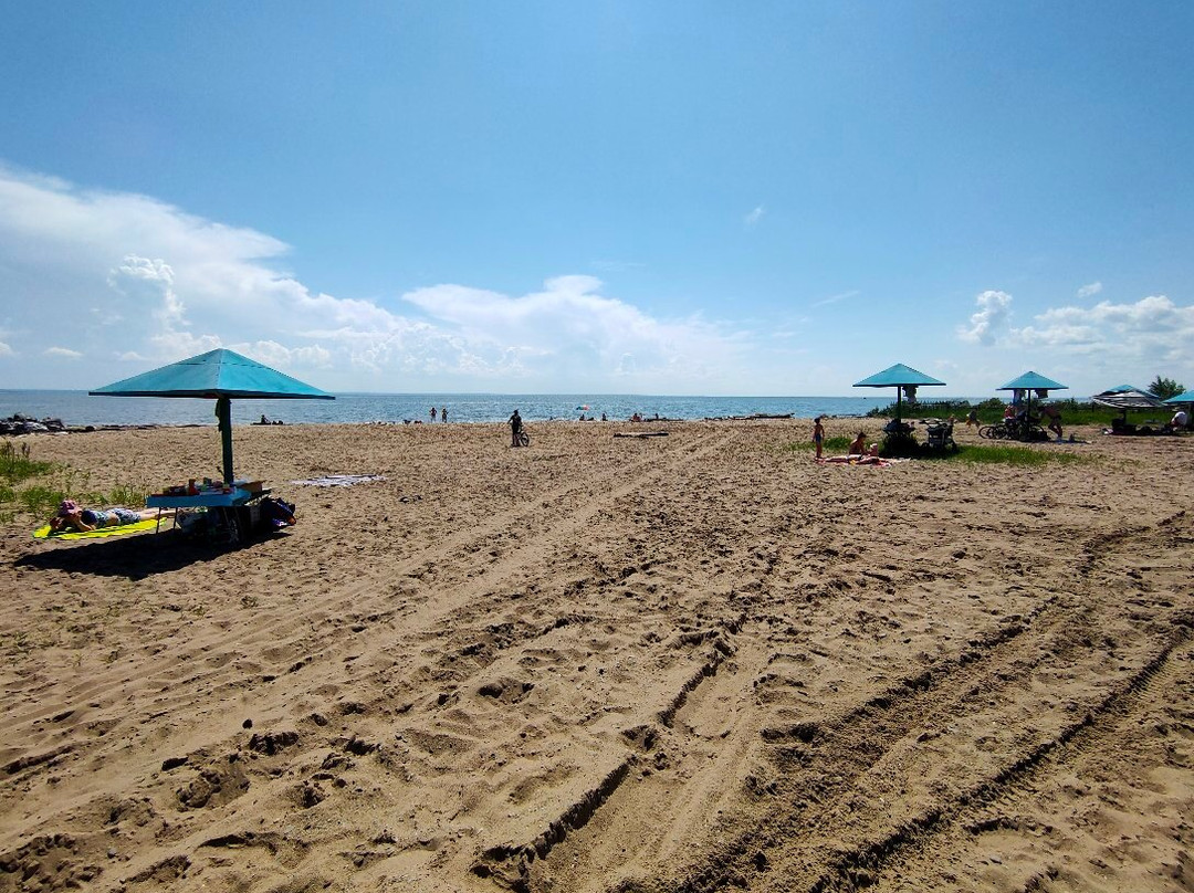 Primorye Hotel主图