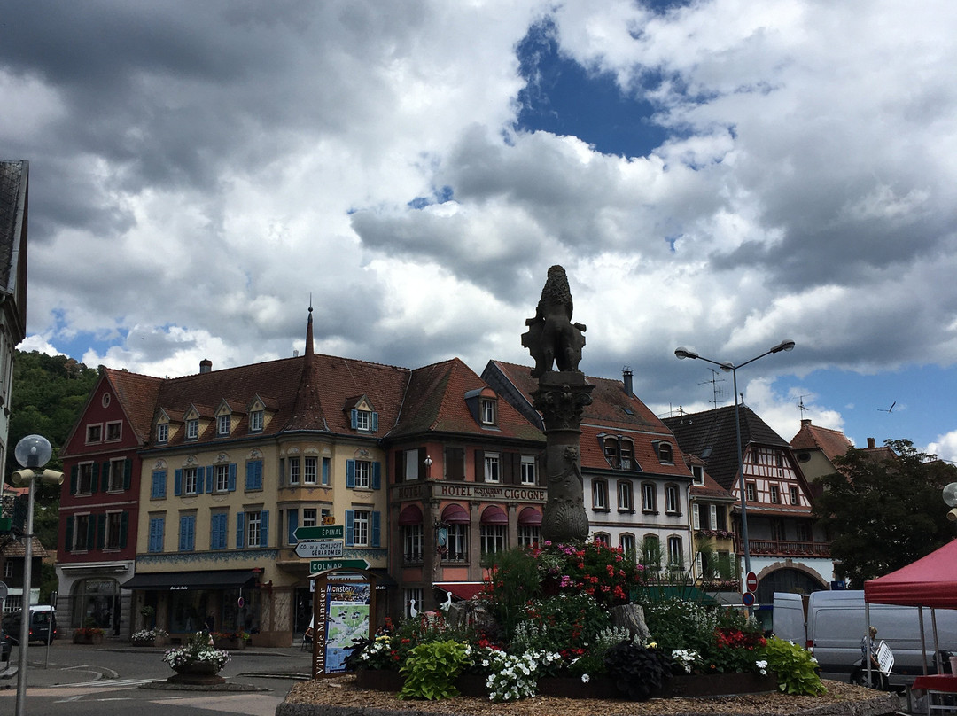 La place du Marché à Munster景点图片
