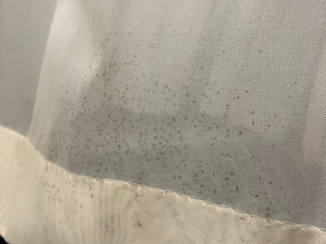 The Hotel Bemidji主图