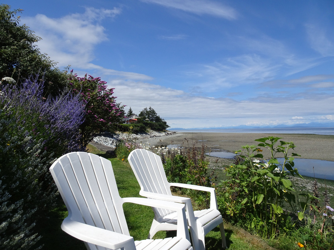 Bella's Beachfront B&B主图