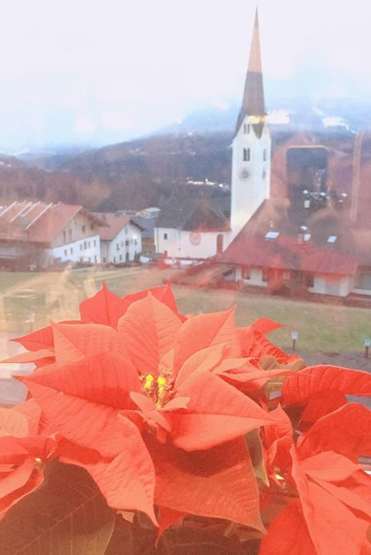 Bärenwirth - Hotel主图