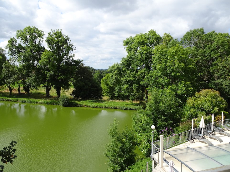Logis Auberge de l'Etang-酒店景观