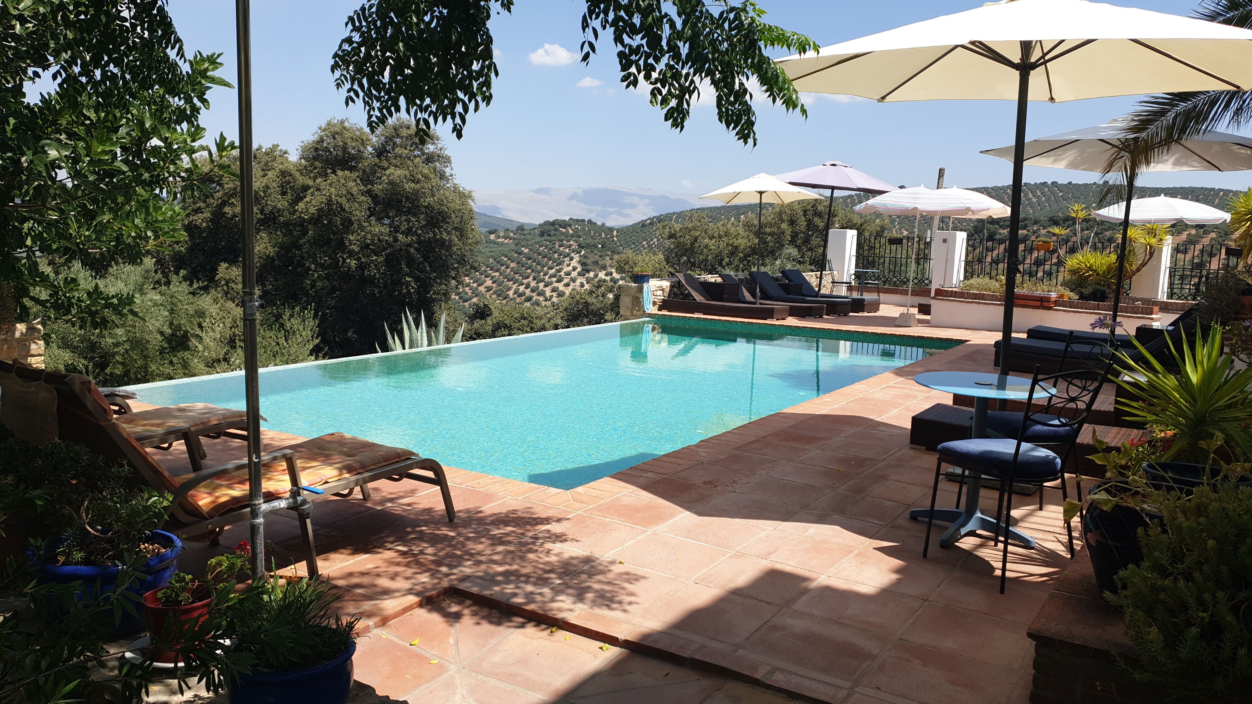 Cortijo La Haza-泳池