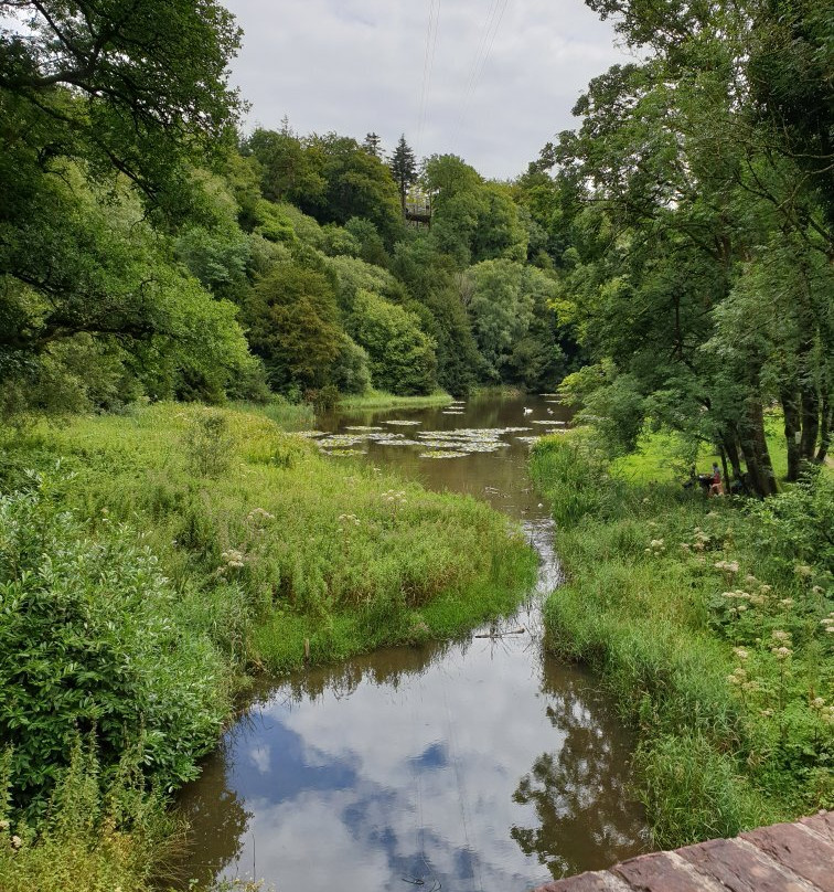 Castlecomer Discovery Park-Ardra必去景点