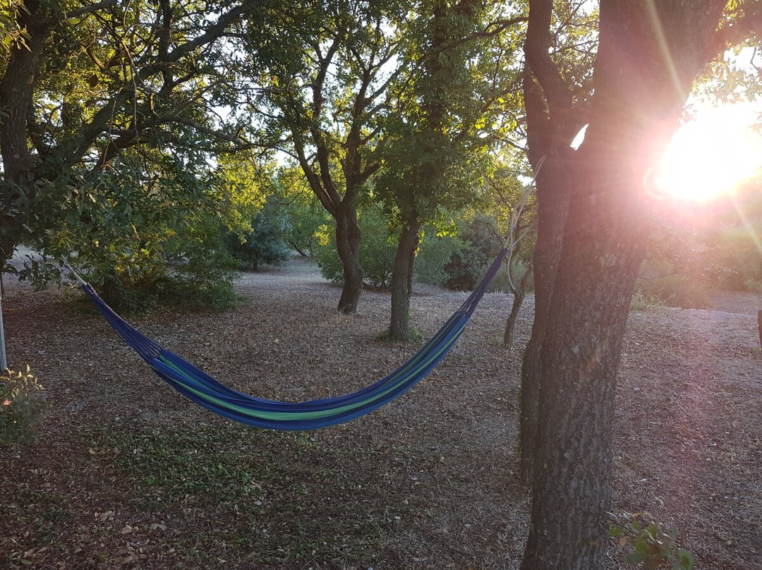 Corte del Camedrio主图