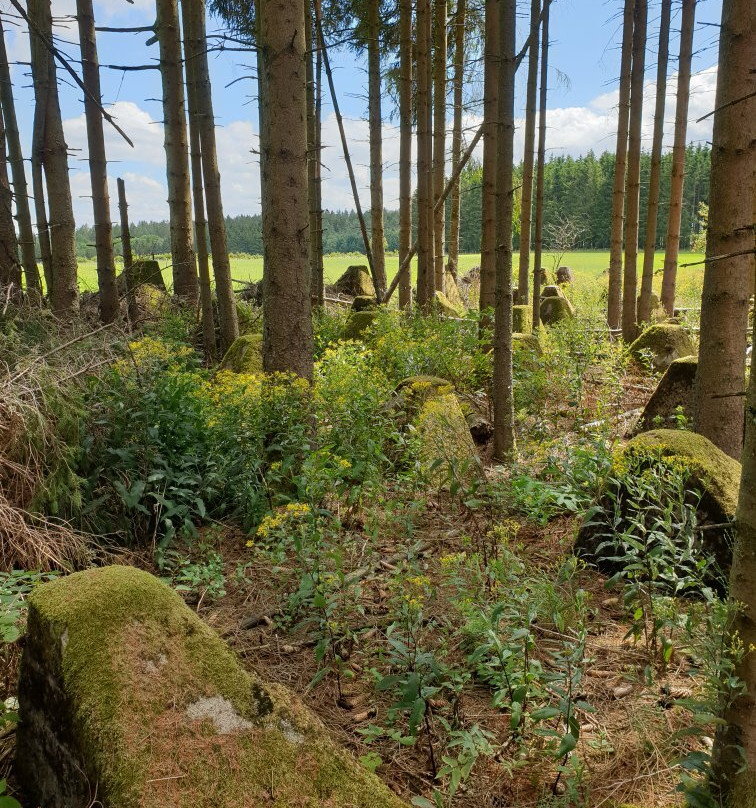 Hotel Hollerather Hof主图