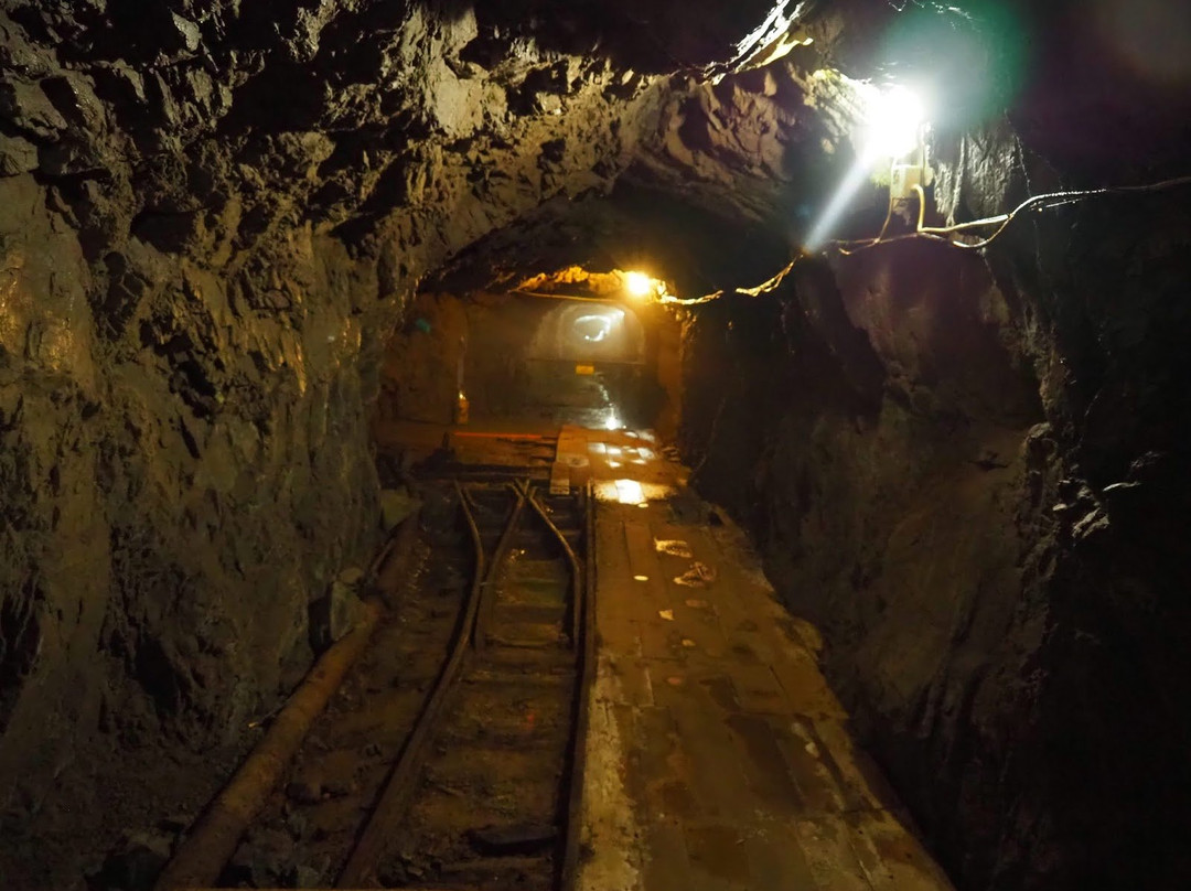 Gold Mine景点图片