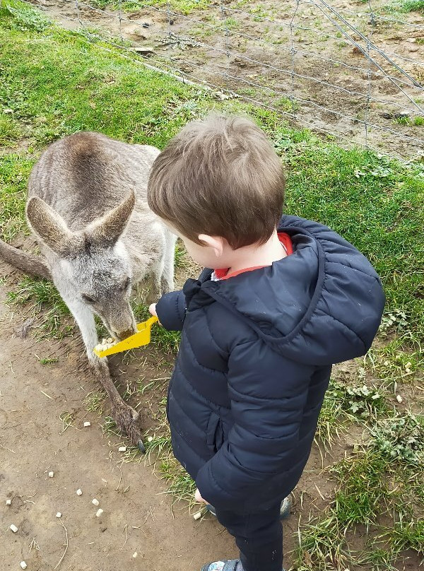 Mansfield Zoo-曼斯菲尔德必去景点