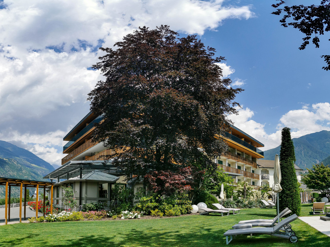 Hotel Das Paradies主图