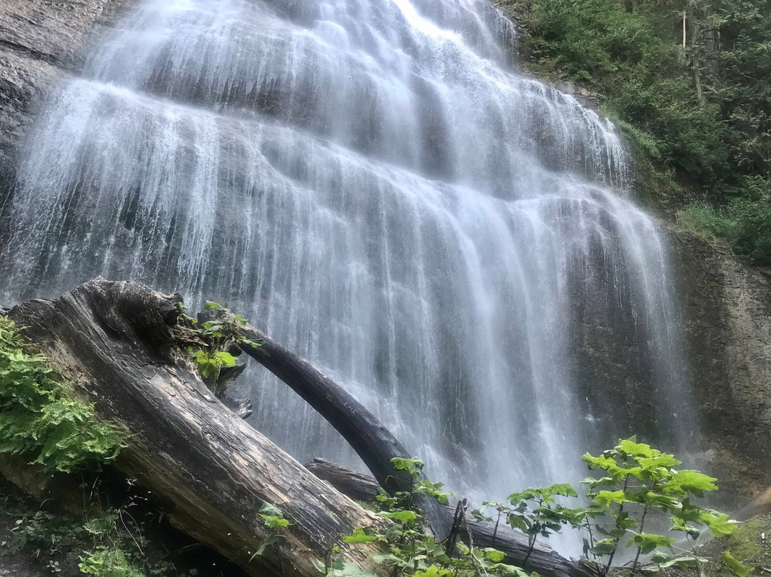 Bridal Veil Falls Waterfall景点图片