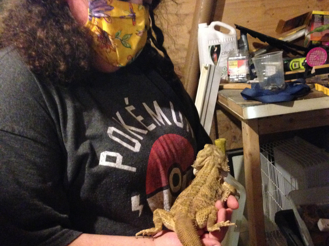 Little Ray's Nature Centre-渥太华必去景点