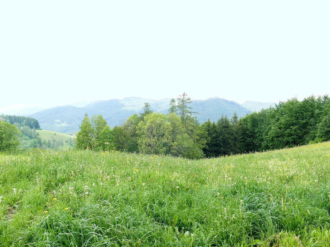 Berggasthof & Pension Urz'n主图