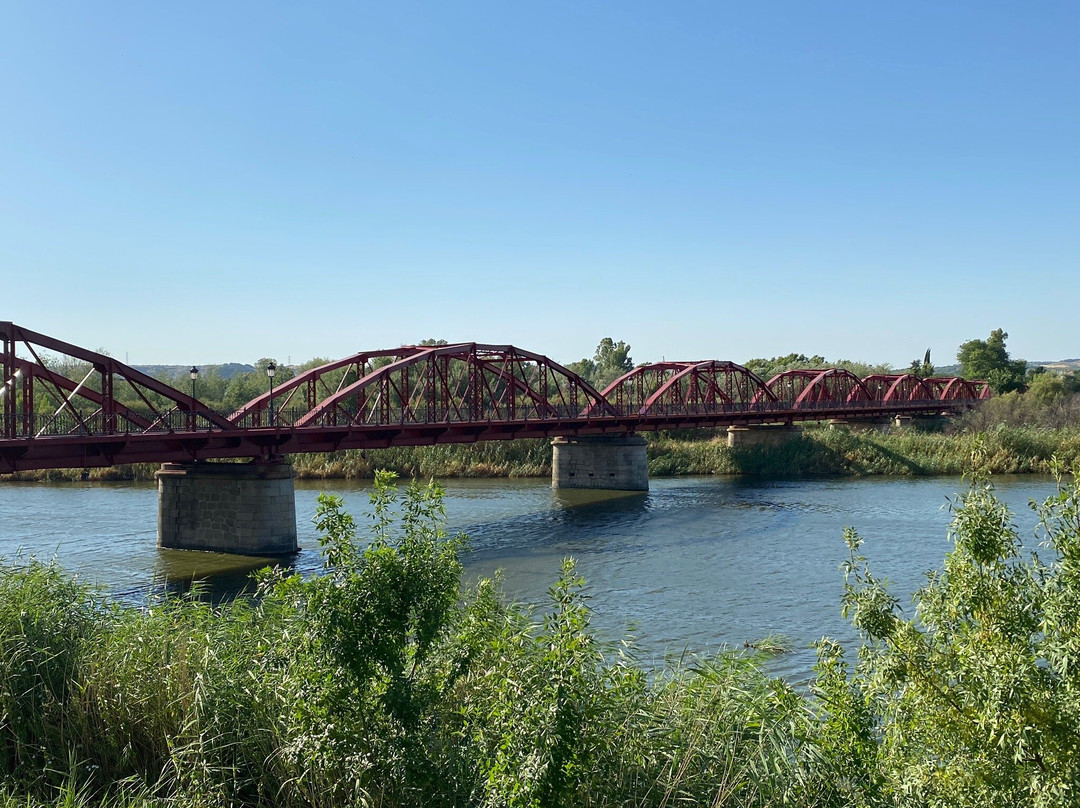 Puente de Hierro-塔拉韦拉-德拉雷纳必去景点