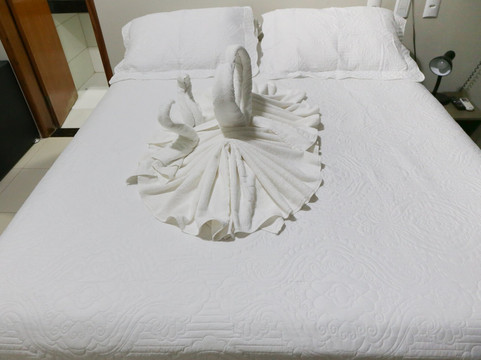 达拉斯高级酒店主图