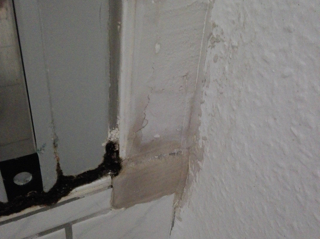 Hotel Schweizer Haus主图