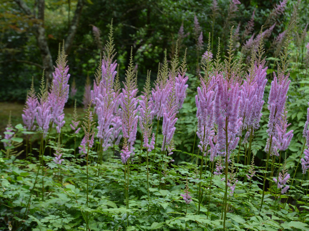 Arboretum des Pres des Culands-Meung-sur-Loire必去景点