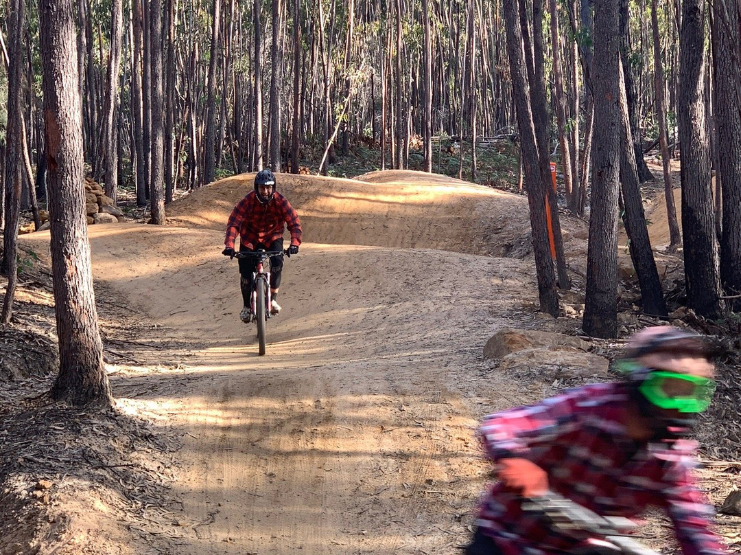 St Helens Mountain Bike Trails景点图片