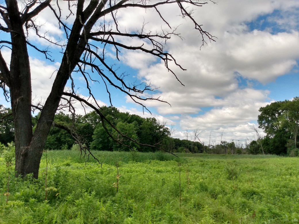 Bluff Spring Fen-埃尔金必去景点
